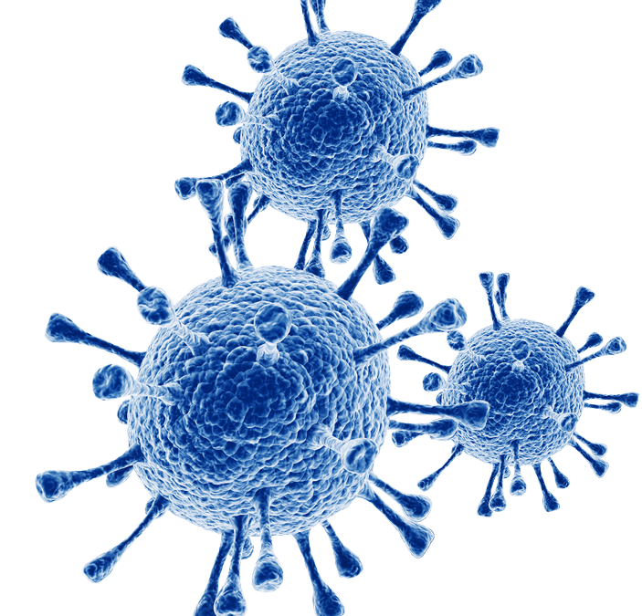 COVID-19 (coronavirus) INFO